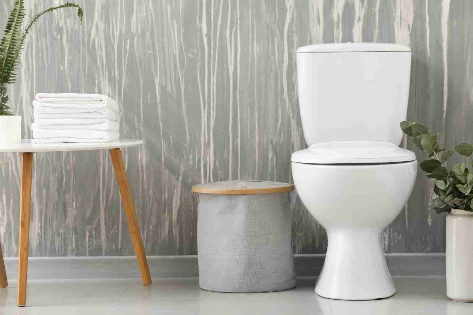 Bathroom cleaning products Vision One