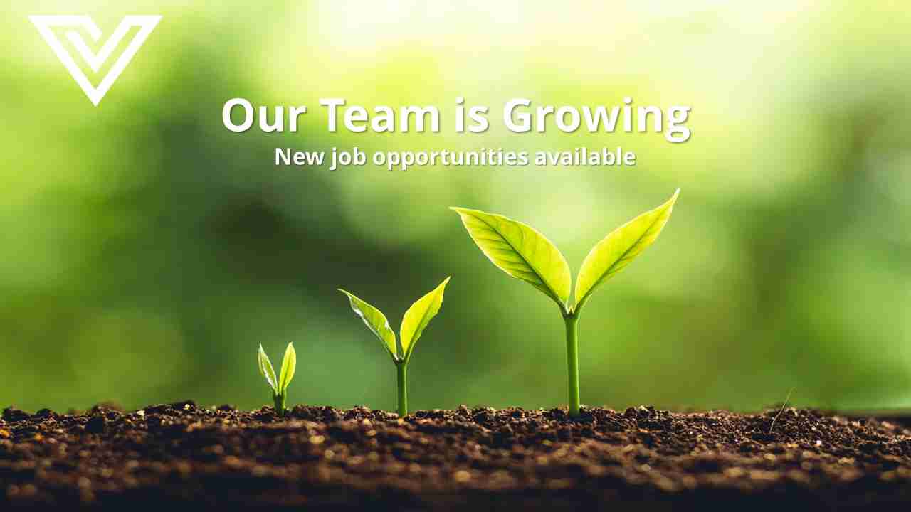 Research Manager Job Liverpool Vision One