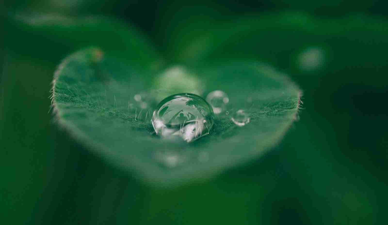 Vision One Takes Net Zero Pledge