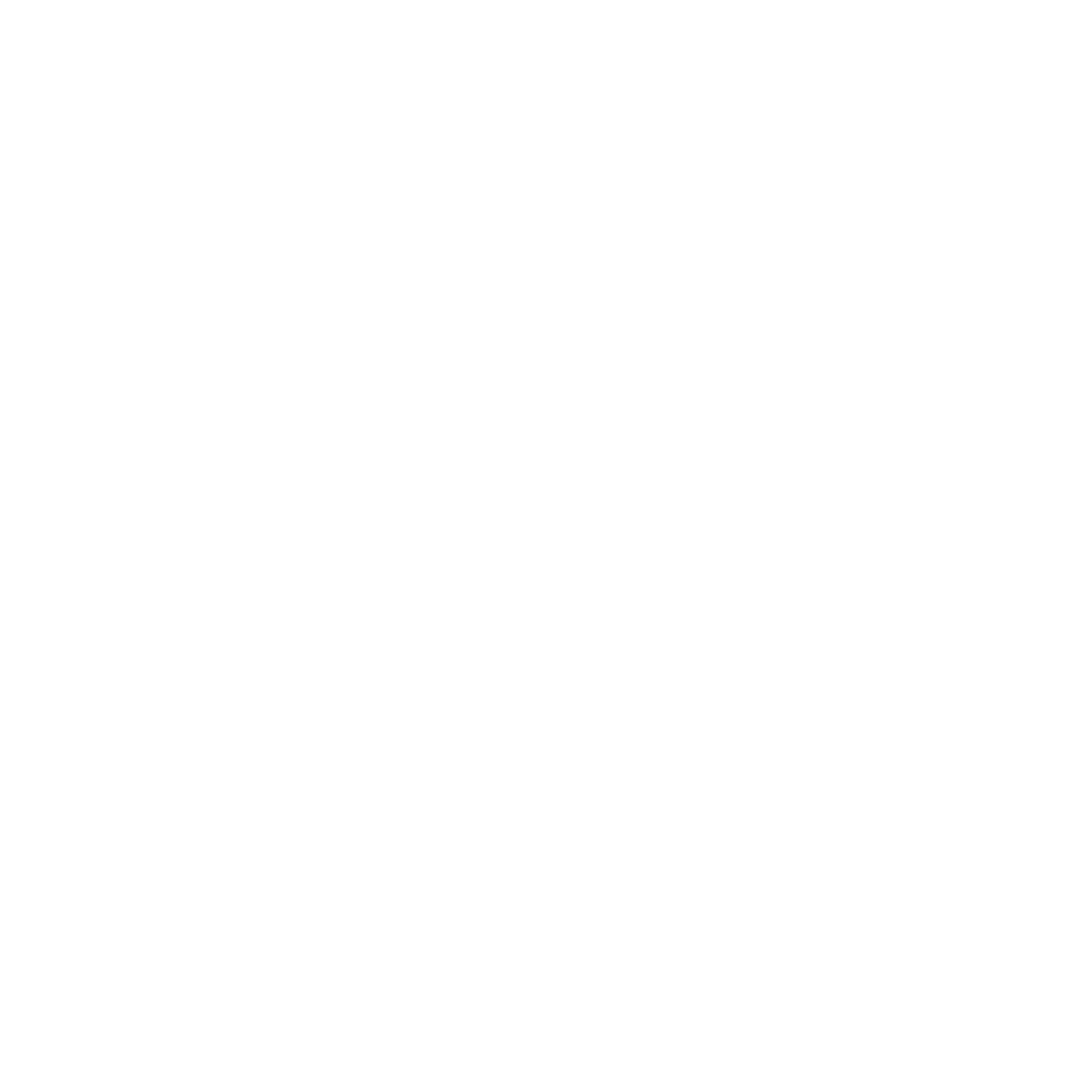 Prince's Trust