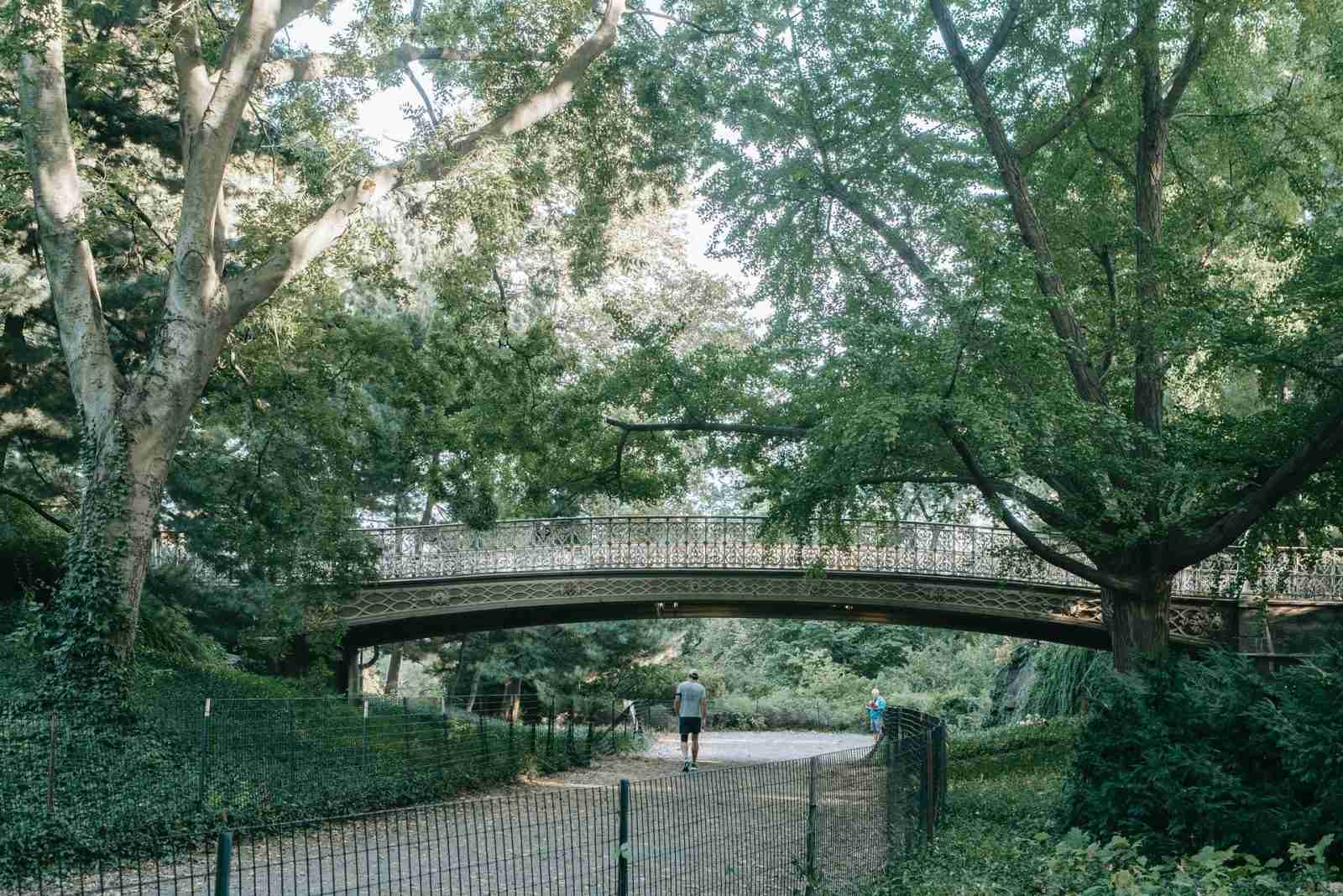 Public-Garden-Experience-Research-Vision-One