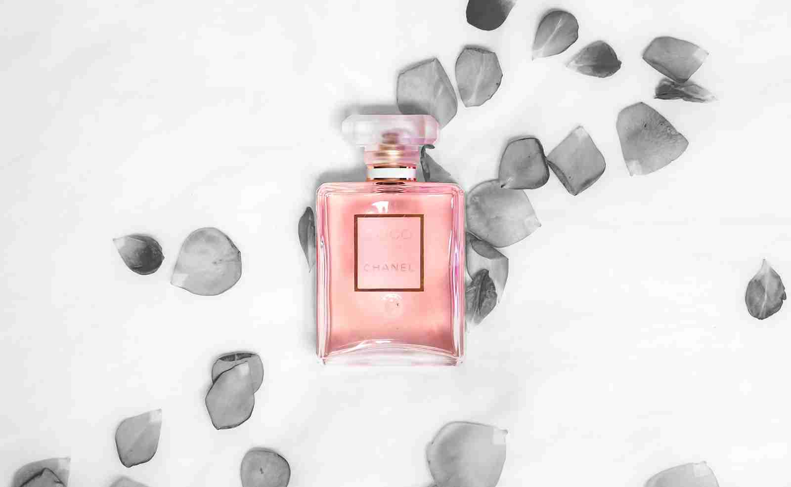 CTPA Qualitative Case Study Vision One