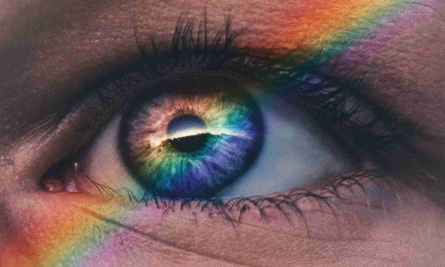 Eye Tracking Research Company Vision One