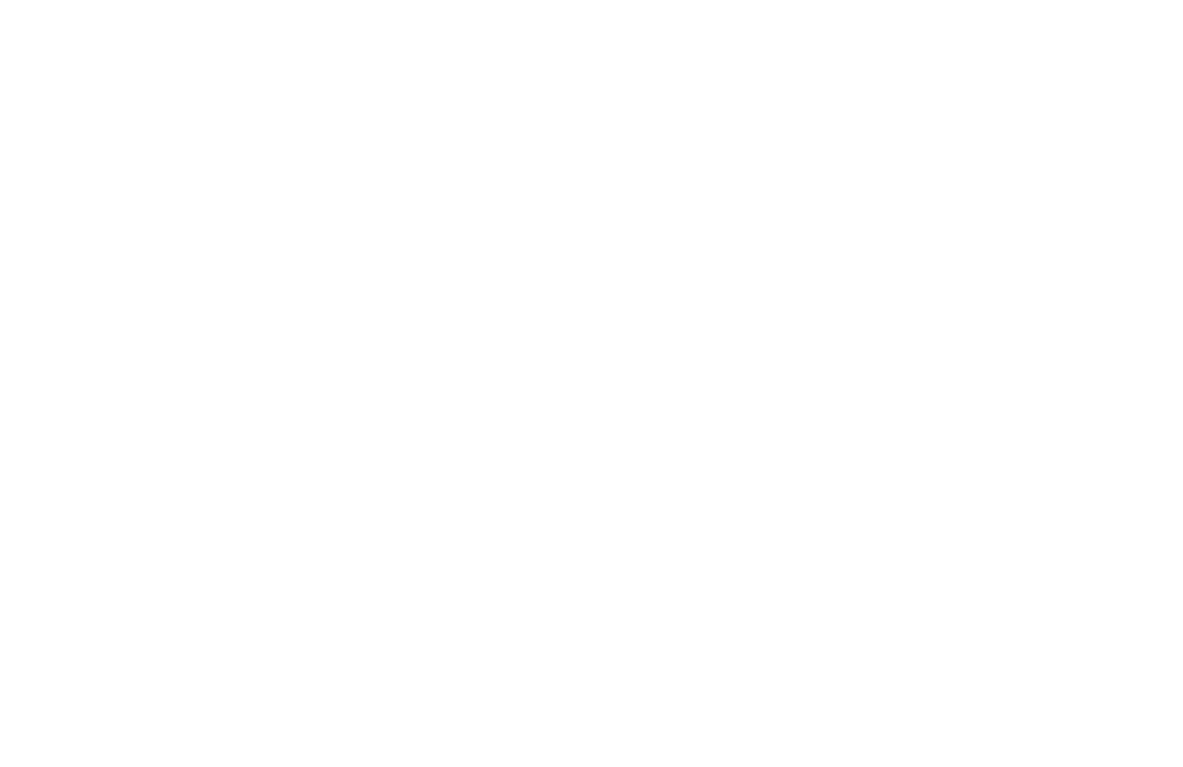Levi's Logo