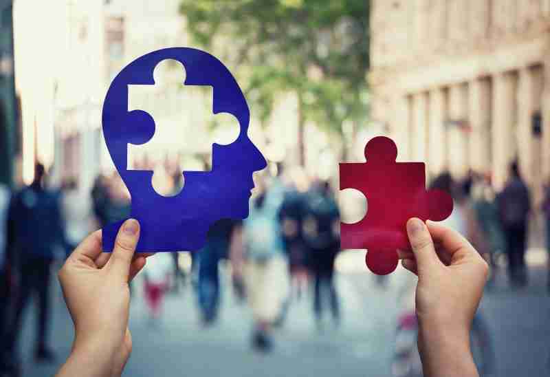 Usage and Attitude Survey Vision One