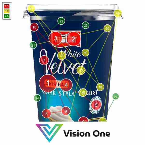 Visual Attention Analysis Gaze Plots Vision One