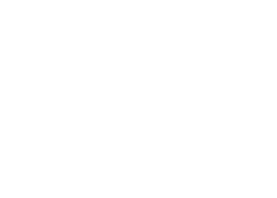 Premier Paper Logo
