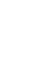 Telephone Vision One