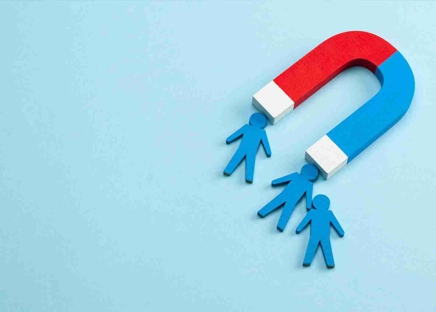 The Magnetism of Brands Vision One